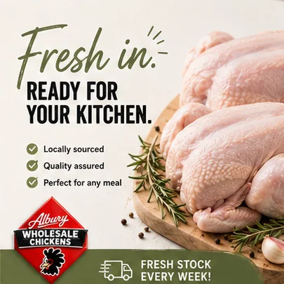 Fresh chicken ready for the kitchen